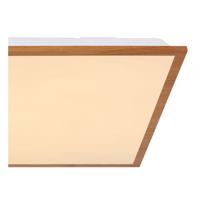 Globo - LED Griestu gaismeklis LED/24W/230V