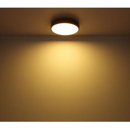 Globo - LED Griestu lampa LED/12W/230V d. 30 cm