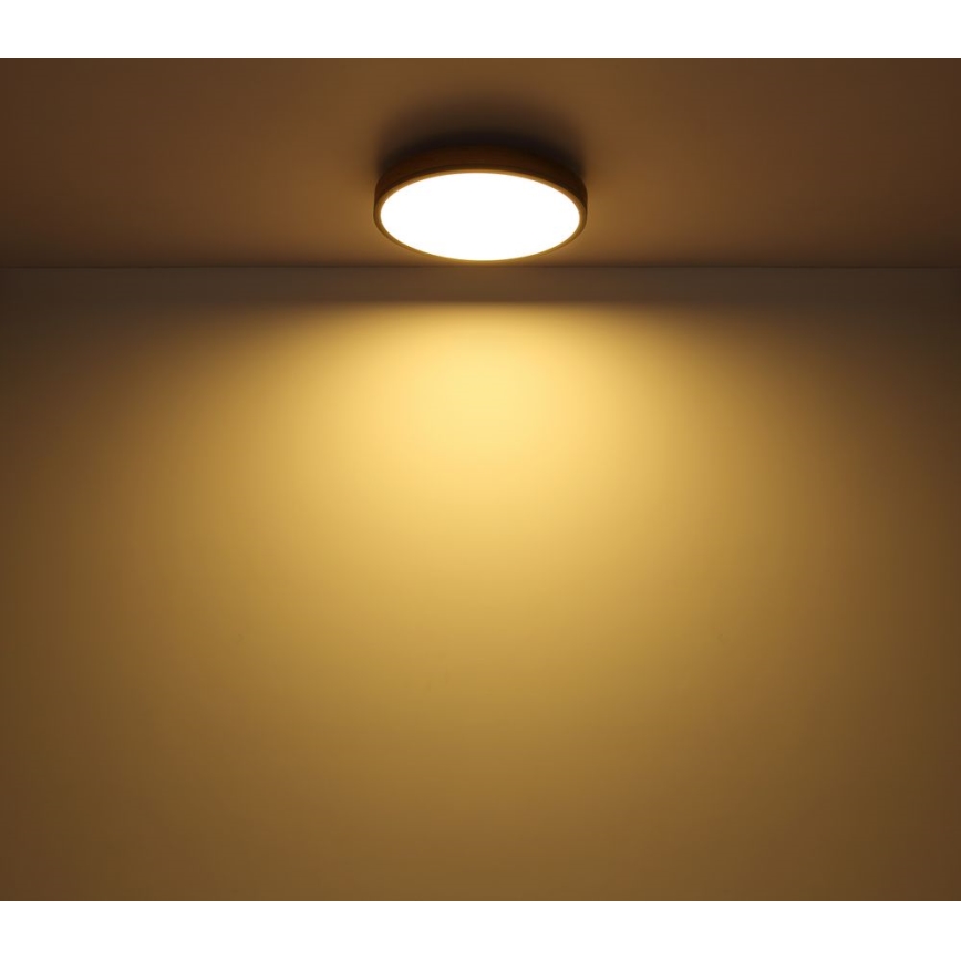 Globo - LED Griestu lampa LED/12W/230V d. 30 cm