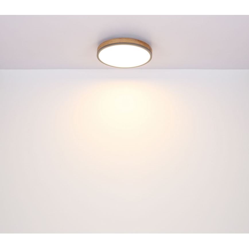 Globo - LED Griestu lampa LED/12W/230V d. 30 cm