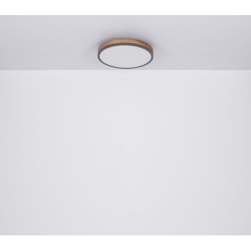 Globo - LED Griestu lampa LED/12W/230V d. 30 cm