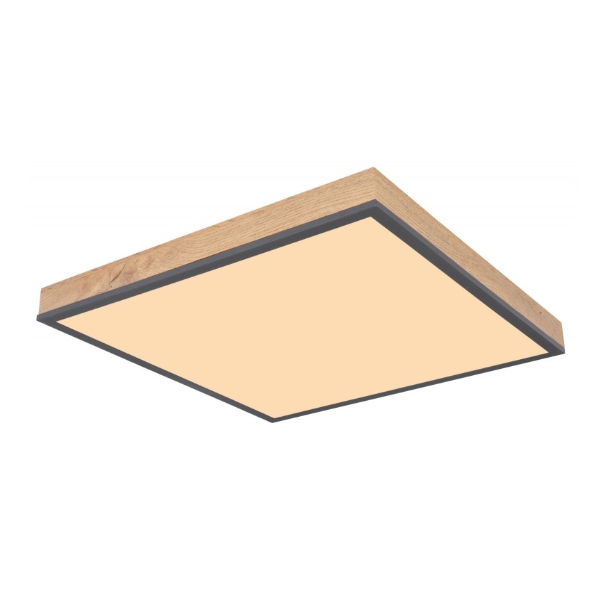 Globo - LED Griestu gaismeklis LED/24W/230V