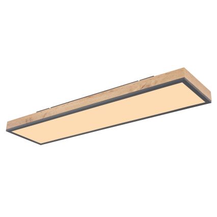 Globo - LED Aptumšojama griestu lampa LED/24W/230V 2700-6500K + tālvadības pults