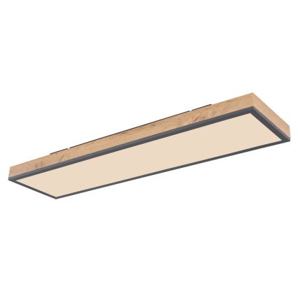 Globo - LED Aptumšojama griestu lampa LED/24W/230V 2700-6500K + tālvadības pults