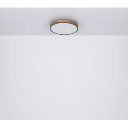 Globo - LED Aptumšojama griestu lampa LED/40W/230V 2700-6500K d. 60 cm + tālvadības pults brūna/pelēka