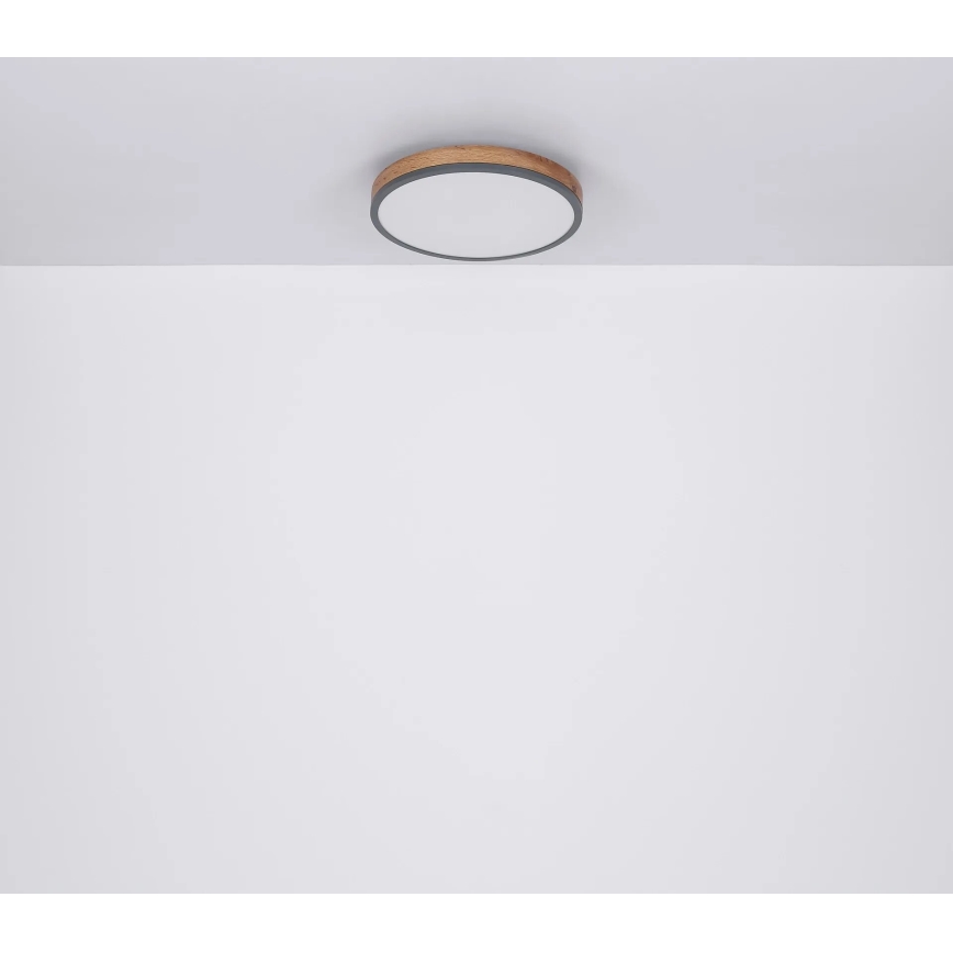 Globo - LED Aptumšojama griestu lampa LED/40W/230V 2700-6500K d. 60 cm + tālvadības pults brūna/pelēka