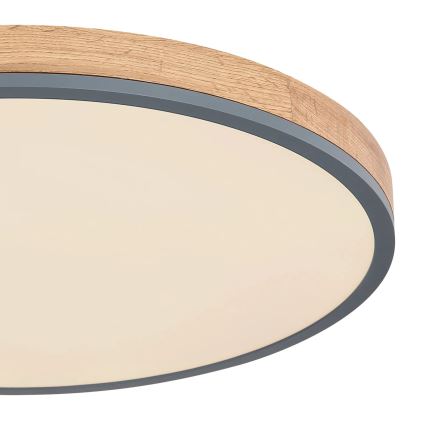 Globo - LED Aptumšojama griestu lampa LED/40W/230V 2700-6500K d. 60 cm + tālvadības pults brūna/pelēka