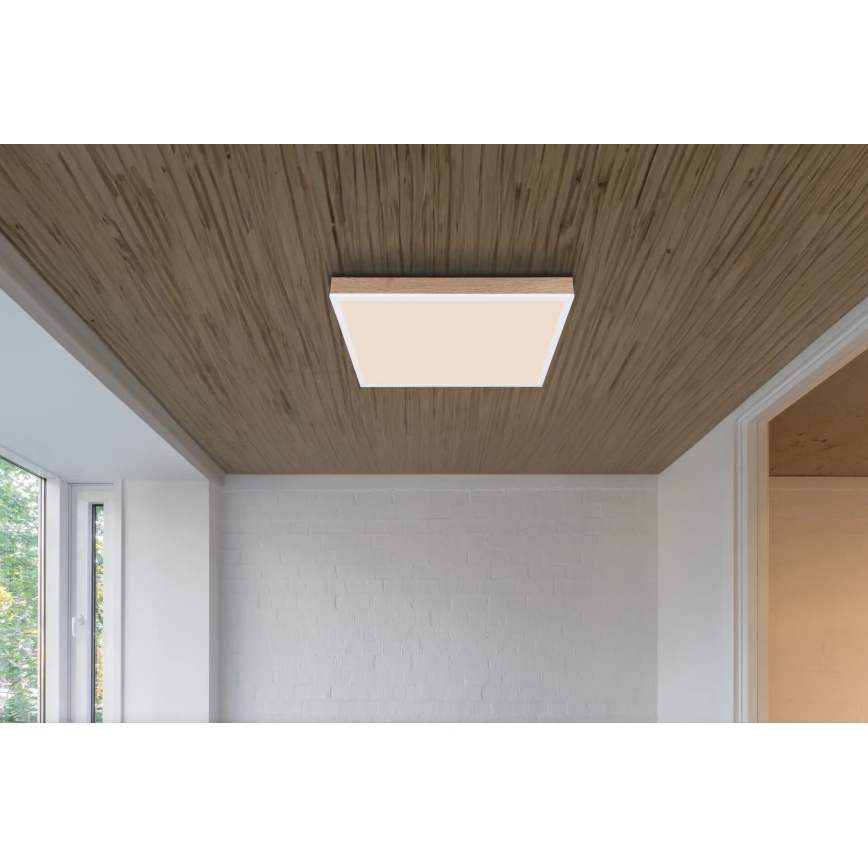 Globo - LED Aptumšojama griestu lampa LED/24W/230V 2700-6500K + tālvadības pults brūna/balta