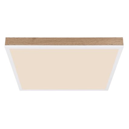 Globo - LED Aptumšojama griestu lampa LED/24W/230V 2700-6500K + tālvadības pults brūna/balta