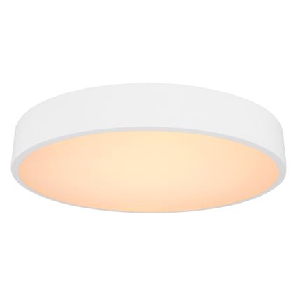 Globo - LED Aptumšojama griestu lampa LED/24W/230V 3000-6000K + tālvadības pults