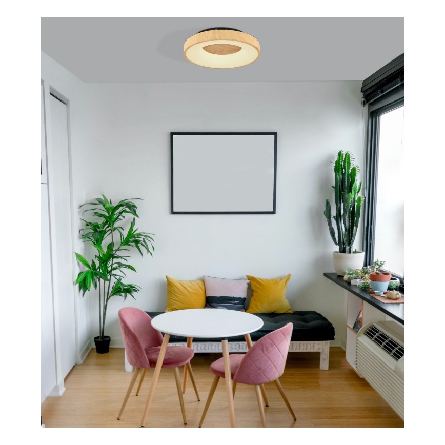 Globo - LED Aptumšojama griestu lampa LED/30W/230V + tālvadības pults