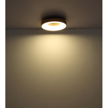 Globo - LED Aptumšojama griestu lampa LED/30W/230V + tālvadības pults
