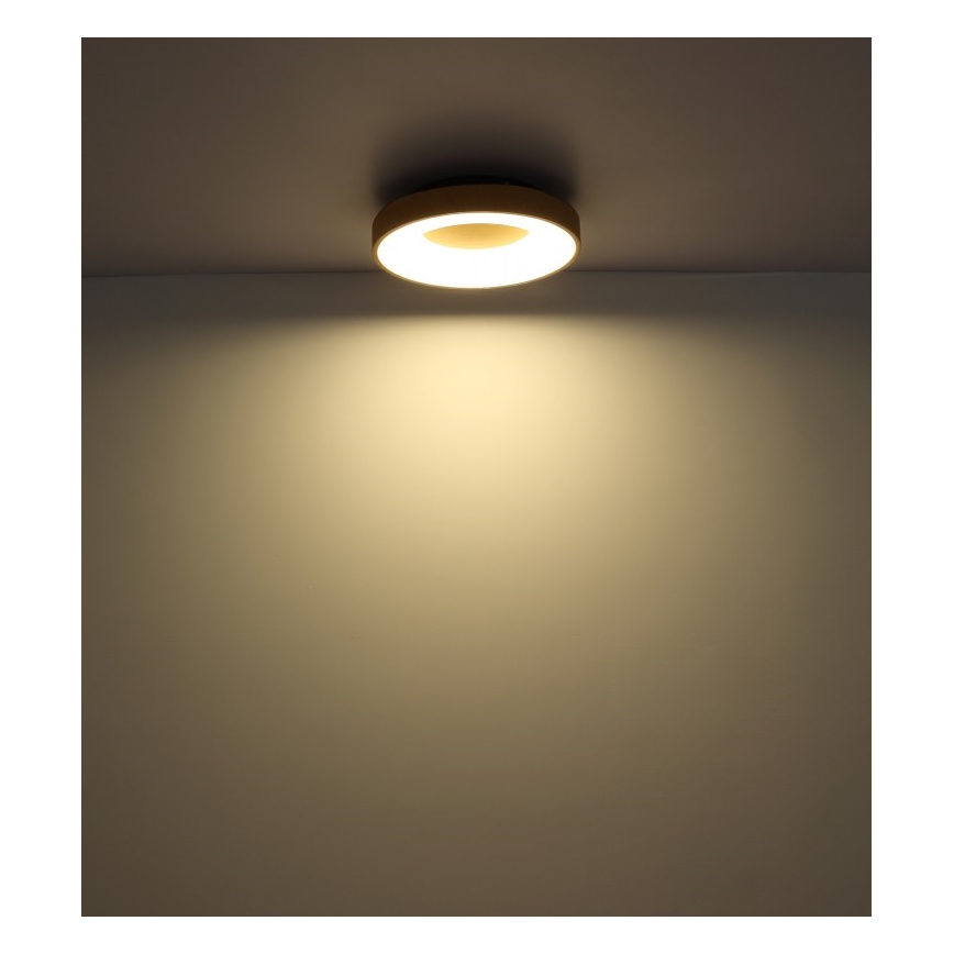 Globo - LED Aptumšojama griestu lampa LED/30W/230V + tālvadības pults