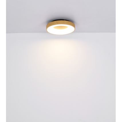 Globo - LED Aptumšojama griestu lampa LED/30W/230V + tālvadības pults