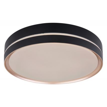 Globo - LED Aptumšojama griestu lampa LED/24W/230V + TP