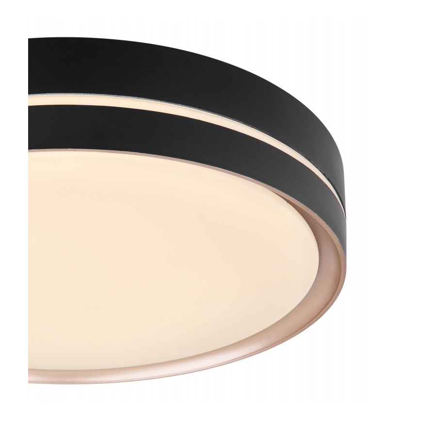 Globo - LED Aptumšojama griestu lampa LED/24W/230V + TP