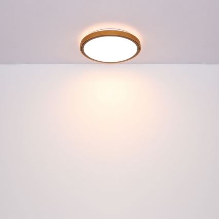 Globo - LED Griestu lampa LED/12W/230V 307 mm 3000/4500/6000K