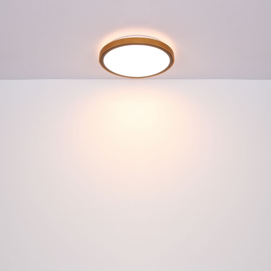 Globo - LED Griestu lampa LED/12W/230V 307 mm 3000/4500/6000K