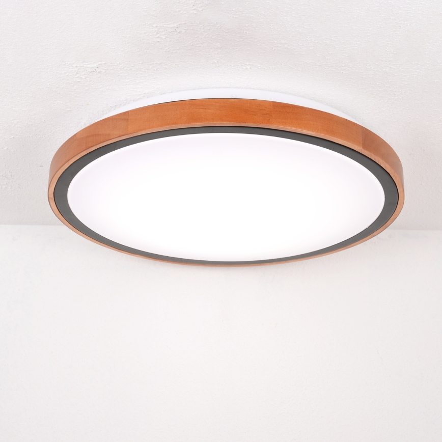 Globo - LED Griestu lampa LED/24W/230V 3000/4500/6000K d. 43,7 cm