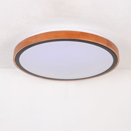 Globo - LED Griestu lampa LED/24W/230V 3000/4500/6000K d. 43,7 cm