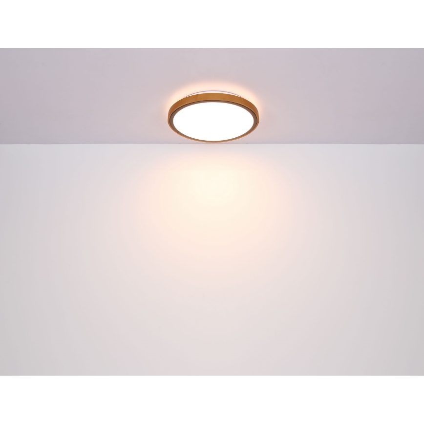 Globo - LED Griestu lampa LED/12W/230V 3000/4500/6000K d. 30 cm