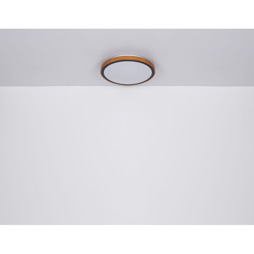 Globo - LED Griestu lampa LED/12W/230V 3000/4500/6000K d. 30 cm