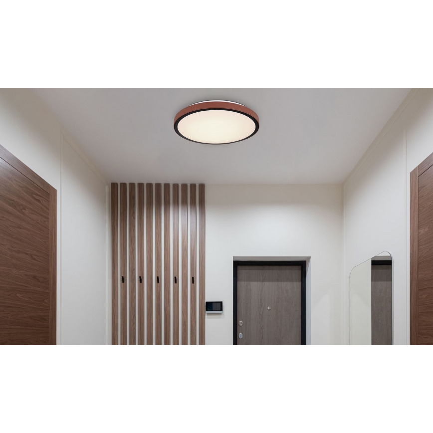 Globo - LED Griestu lampa LED/24W/230V 3000/4500/6000K d. 42 cm