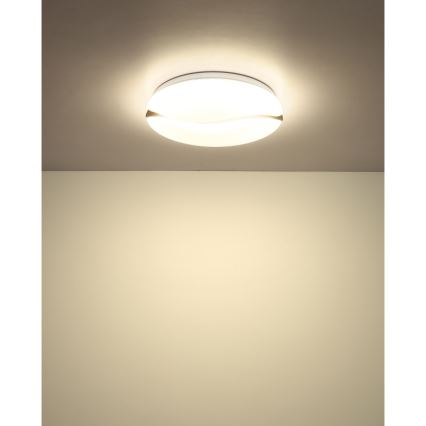 Globo - LED Griestu lampa LED/24W/230V 3000/4200/6000K d. 33 cm