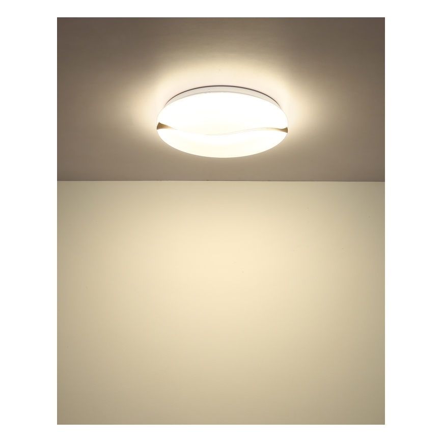 Globo - LED Griestu lampa LED/24W/230V 3000/4200/6000K d. 33 cm