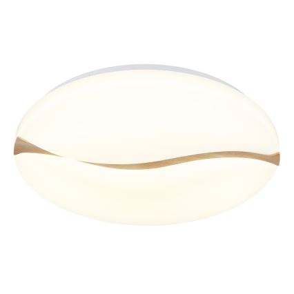 Globo - LED Griestu lampa LED/24W/230V 3000/4200/6000K d. 33 cm