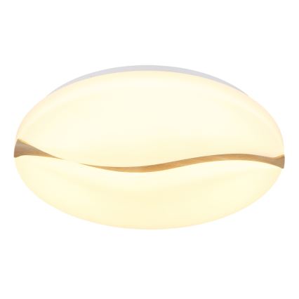 Globo - LED Griestu lampa LED/24W/230V 3000/4200/6000K d. 33 cm