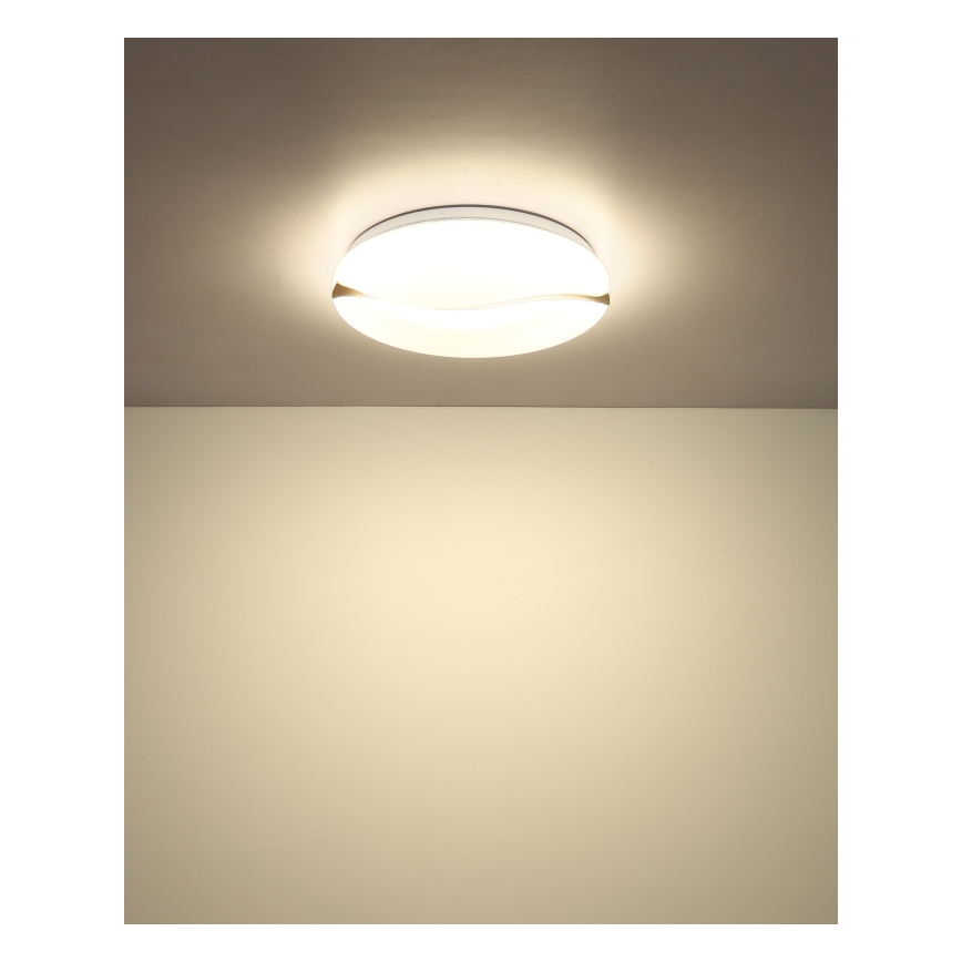 Globo - LED Griestu lampa LED/24W/230V 3000/4200/6000K d. 39 cm