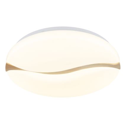 Globo - LED Griestu lampa LED/24W/230V 3000/4200/6000K d. 39 cm