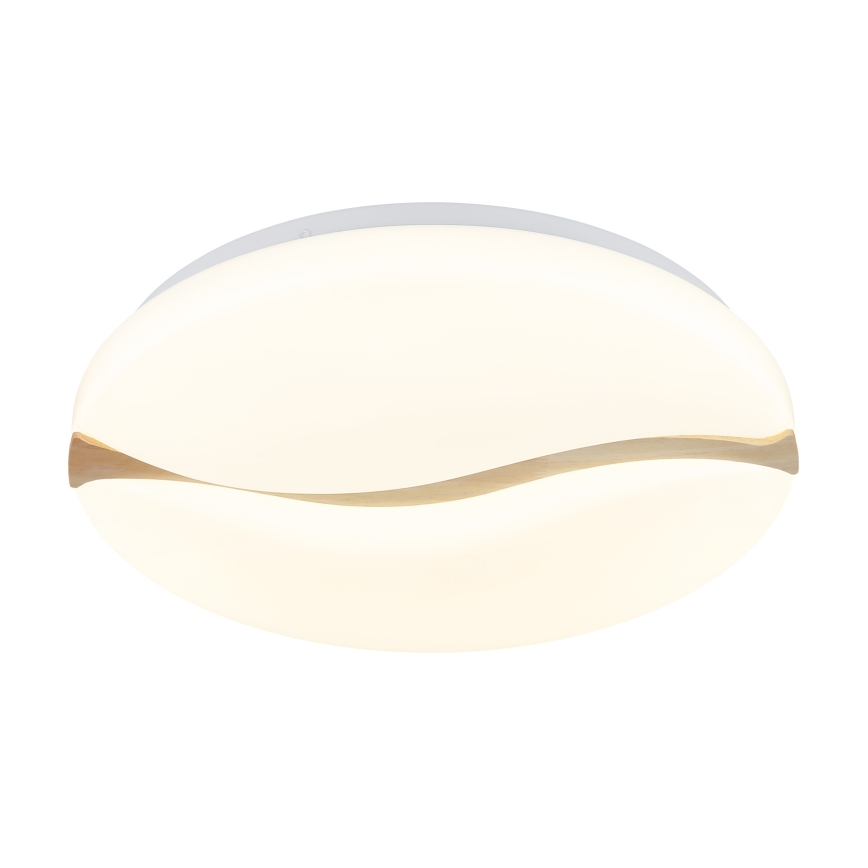 Globo - LED Griestu lampa LED/24W/230V 3000/4200/6000K d. 39 cm