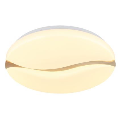 Globo - LED Griestu lampa LED/24W/230V 3000/4200/6000K d. 39 cm