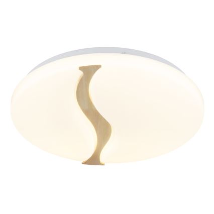 Globo - LED Griestu lampa LED/24W/230V 3000/4200/6000K d. 39 cm