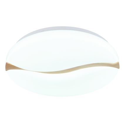 Globo - LED Griestu lampa LED/24W/230V 3000/4200/6000K d. 39 cm