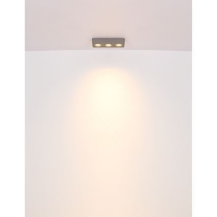 Globo - LED Griestu lampa LED/14W/230V 11,7x33,2 cm