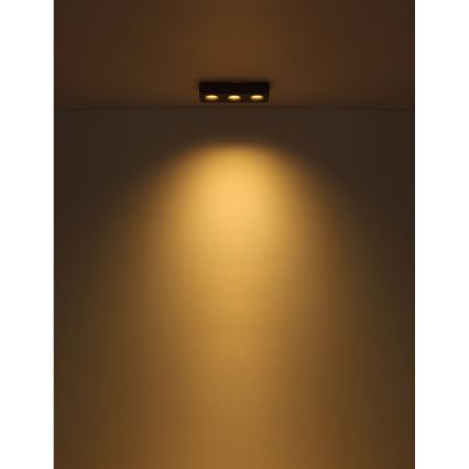 Globo - LED Griestu lampa LED/14W/230V 11,7x33,2 cm