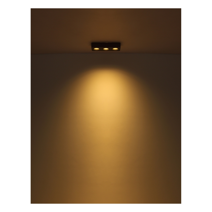 Globo - LED Griestu lampa LED/14W/230V 11,7x33,2 cm