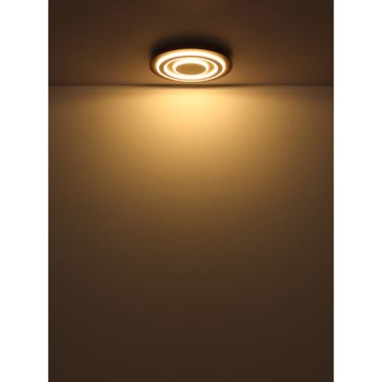 Globo - LED Griestu lampa LED/24W/230V 3000K d. 32 cm