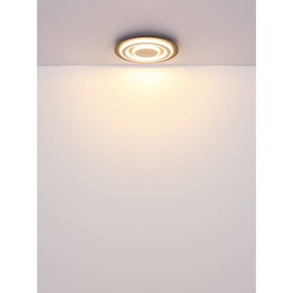 Globo - LED Griestu lampa LED/24W/230V 3000K d. 32 cm