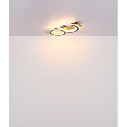 Globo - LED Griestu lampa LED/40W/230V 3000K 35x63 cm