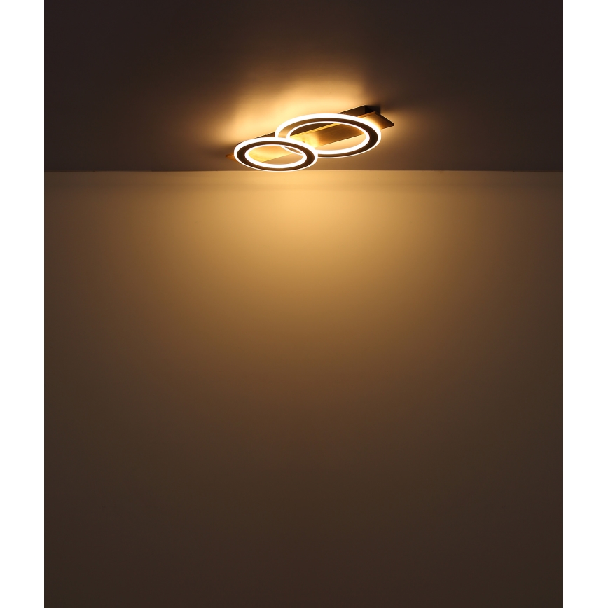 Globo - LED Griestu lampa LED/40W/230V brūna