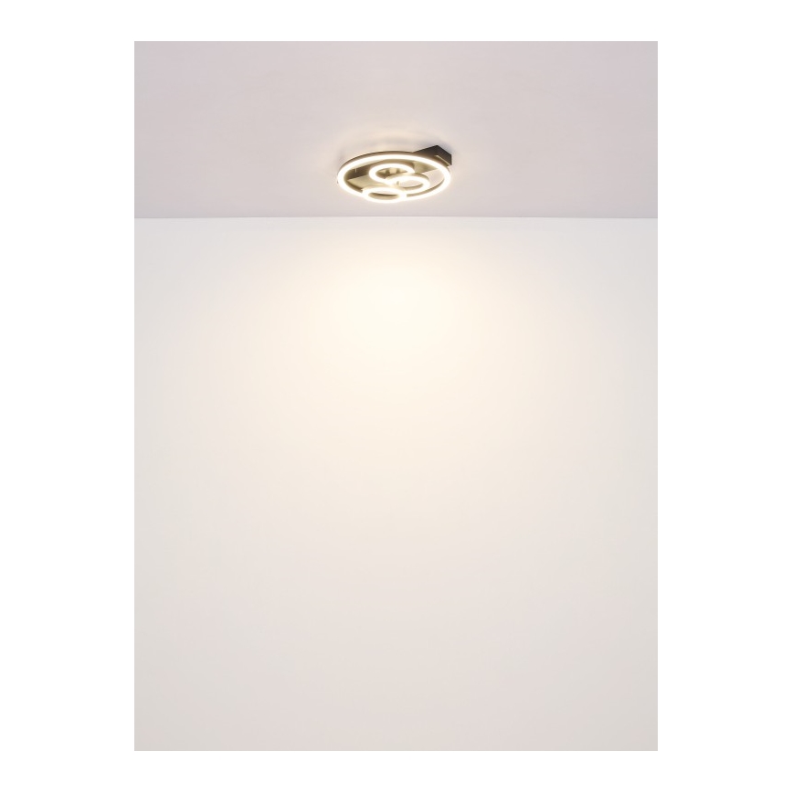 Globo - LED Aptumšojama griestu lampa LED/40W/230V 2700-6500K d. 35x33 cm + tālvadības pults