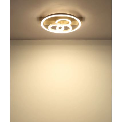 Globo - Regulējams LED griestu gaismeklis, 40 W, 230 V, 2700–6500 K, izm. 35×33 cm, bēšs, ar tālvadības pulti