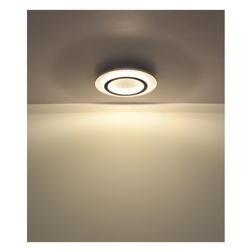 Globo - LED griestu gaismeklis LED/24W/230V 3000/4000/6500K Ø 35 cm balta