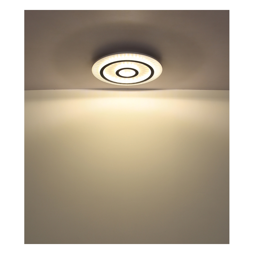 Globo - LED griestu lampa ar regulējamu spilgtumu LED/40W/230V 3000-6500K Ø 45 cm balta + tālvadība
