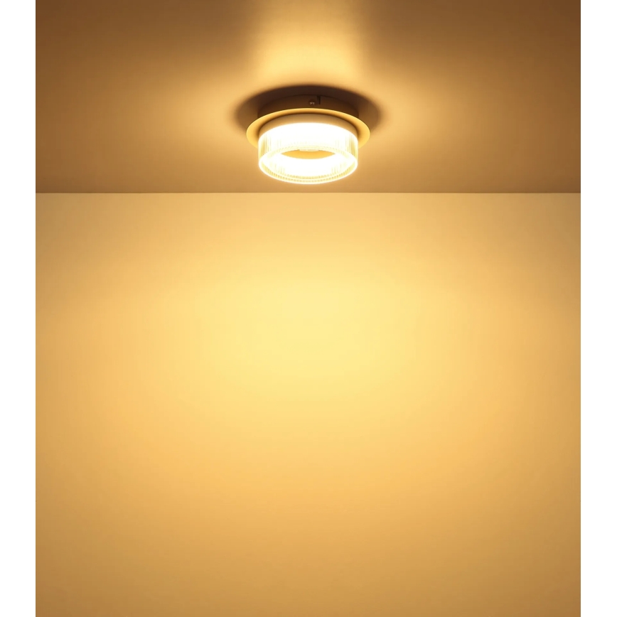 Globo - LED griestu gaismeklis LED/8W/230V 3000K Ø 16 cm