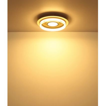 Globo - LED griestu lampa LED/24W/230V 3000K Ø 40 cm
